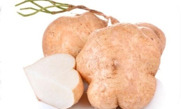 5 Manfaat Bangkoang Untuk Kesehatan, Si Umbi Ajaib Ini Juga Punya Efek Samping