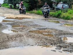 Jalan rusak Brebes, rusak parah, jalan bodok,