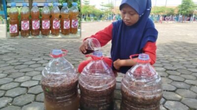 Keren! SMPN 3 Tanjung Brebes Sulap Limbah Kulit Bawang Jadi Sabun Pembersih Lantai dan Pestisida