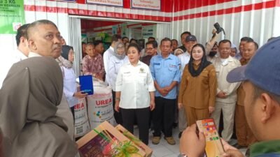 Dorong Ekspor dan Hilirisasi Bawang Merah Brebes, Komisi IV DPR RI Tinjau Sentra Produksi