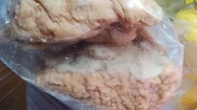 Menu MBG Tahu Bakso Berbelatung Viral, Wali Murid Cikakak Resah