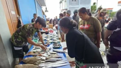 Temukan Rahasia Pangan Bergizi Papua: Budidaya Tematik Buka Jalan