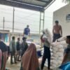 Penyerapan Pupuk Subsidi Brebes Tembus 24.871 Ton, Stok Masih Aman untuk Musim Tanam Kedua