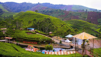 5 Wisata Kebun Teh di Jawa Tengah dengan Udara Sejuk dan Pemandangan Memukau