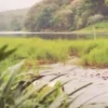 Surga Tersembunyi di Brebes Siap Sambut Long Weekendmu!