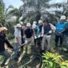 Listrik Sumatera Padam: Bareskrim Turun Tangan!