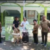 Perhutani Berbagi Berkah Idul Adha: Hewan Kurban untuk Masjid Baiturrohman