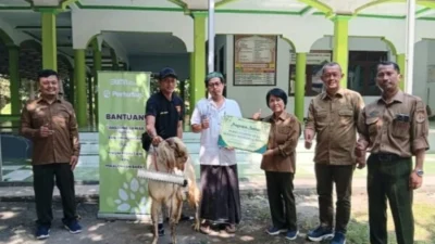 Perhutani Berbagi Berkah Idul Adha: Hewan Kurban untuk Masjid Baiturrohman