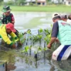 Ribuan Mangrove Bangkit: Pemalang Lawan Abrasi!