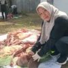 Sapi Kurban Batang Terjangkit Cacing Hati?