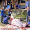 Sapi Menteri KKP untuk Kurban UMBS Brebes!
