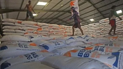 Stok Beras Melimpah, Bulog Siap Ekspor Tunggu Perintah Presiden