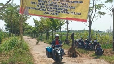 Jalan Rusak Karangsambung Jatisawit, Tanam Pohon Pisang dan Sindir Bupati Brebes Lewat Spanduk