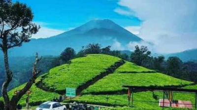 Puncak Sakub Brebes: Nikmati Panorama 360° Tembus Cakrawala