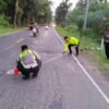 Warta Pantura
