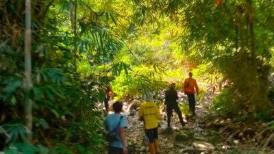 Lansia Hilang di Paguyangan Brebes, Tim Gabungan Sisir Kebun hingga Kawasan Perhutani