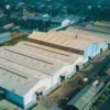Penjualan NPK Granul NPGF Melonjak 109%, Laba Bersih Naik 78,7%