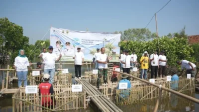 Pesisir Pemalang Perlahan Tenggelam: Ancaman Nyata!