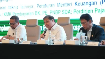 Tata Kelola Ekspor SDA Baru: Pemerintah Terapkan Sistem Satu Pintu Lewat DSI