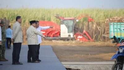 Prabowo Targetkan Swasembada Gula 2 Tahun, Jadi Angin Segar bagi Sentra Tebu Brebes