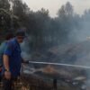 Kebakaran Hutan Pinus di Paguyangan Brebes Hanguskan Lebih dari 2 Hektare Lahan