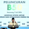 Nasional