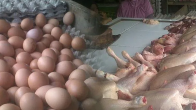 Harga Ayam dan Telur Turun, Libur MBG dan Daya Beli Lesu Tekan Permintaan