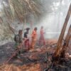 Kandang Kambing Terbakar di Kutamendala, Dua Warga Luka Bakar Saat Selamatkan Ternak