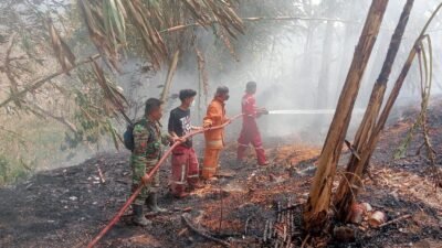 Kandang Kambing Terbakar di Kutamendala, Dua Warga Luka Bakar Saat Selamatkan Ternak