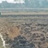 Berita Brebes