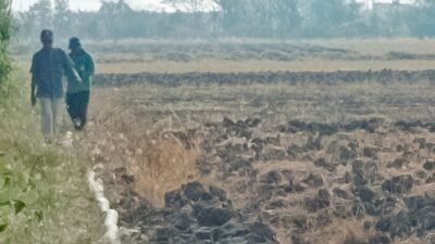Petani Pakijangan Gagal Panen 40 Persen, Harapkan Sumur Dalam dan Normalisasi Sungai